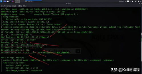 白帽黑客的偵察利器 Nmap實(shí)戰(zhàn)演示探測操作系統(tǒng)與系統(tǒng)服務(wù)